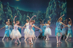 cropped-DT0001_6059-scaled-1